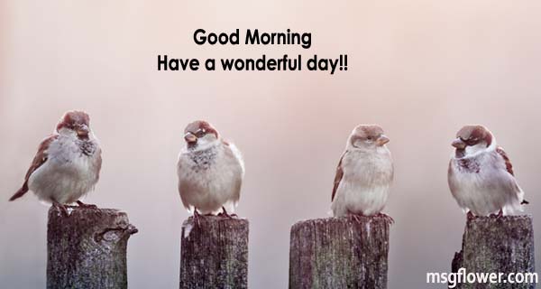 Good Morning Quotes Card